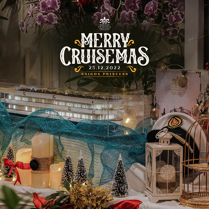 🎄Merry Cruisemas🎄