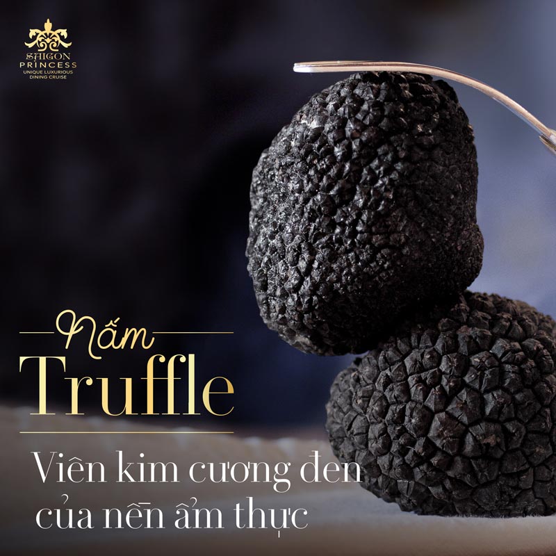 TRUFFLE Mushroom - The black diamond of the cuisine